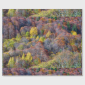 Uitzicht van najaarsboskleurige bomen cadeaupapier (Vlak)