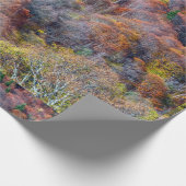 Uitzicht van najaarsboskleurige bomen cadeaupapier (Hoek)