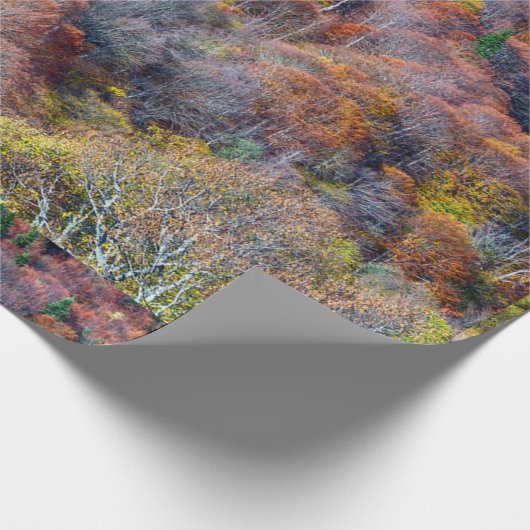 Uitzicht van najaarsboskleurige bomen cadeaupapier (Hoek)