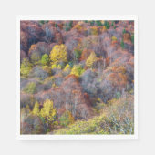 Uitzicht van najaarsboskleurige bomen servet (Voorkant)