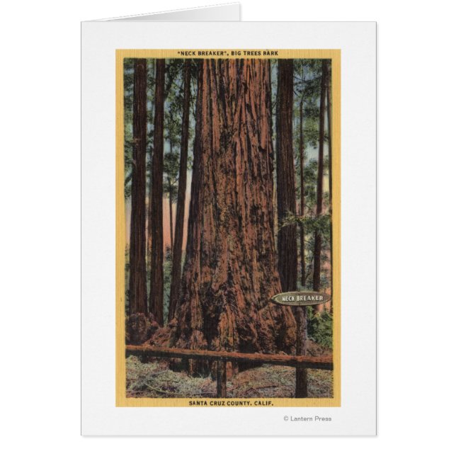 Uitzicht van "Neck Breaker" in Big Trees Park (Voorkant)