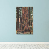 Uitzicht van "Neck Breaker" in Big Trees Park Canvas Afdruk (Insitu (Houten vloer))