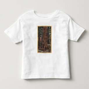 Uitzicht van "Neck Breaker" in Big Trees Park Kinder Shirts