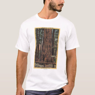 Uitzicht van "Neck Breaker" in Big Trees Park T-shirt