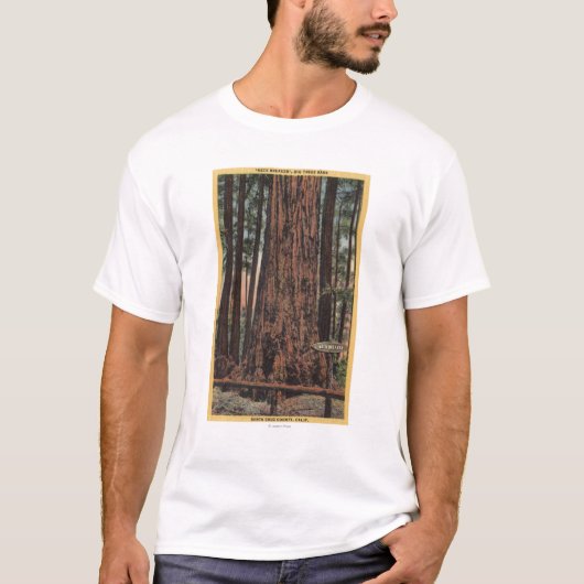 Uitzicht van "Neck Breaker" in Big Trees Park T-shirt (Voorkant)