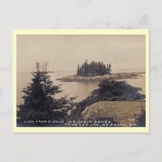 Uitzicht van Newagen, Vintage van Maine Briefkaart (Voorkant)