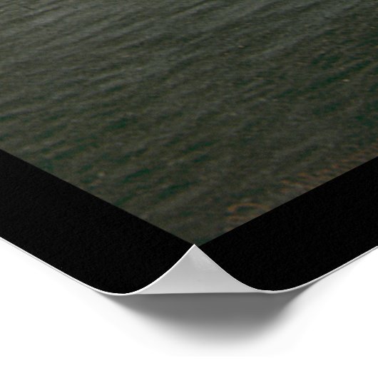 Uitzicht van Niagara Herfsten 1898 Poster (Hoek)