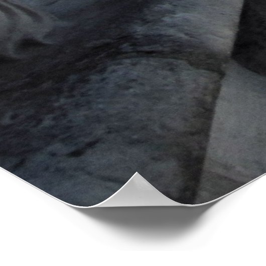 Uitzicht van Notre Dame de Paris (Poster) Poster (Hoek)