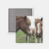 Uitzicht van paarden, close-up magneet (Voorkant / Achterkant)