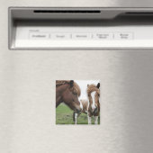 Uitzicht van paarden, close-up magneet (Insitu (Vaatwasser))