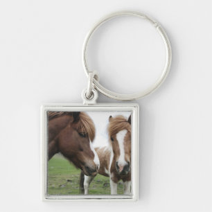 Uitzicht van paarden, close-up sleutelhanger