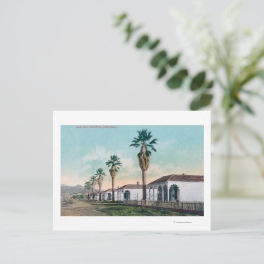 Uitzicht van Palm Row Calistoga, CA Briefkaart (Staand voorkant)