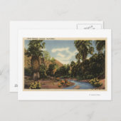 Uitzicht van Palm Springs Canyon Briefkaart (Voorkant / Achterkant)