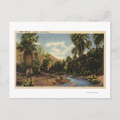 Uitzicht van Palm Springs Canyon Briefkaart (Voorkant)
