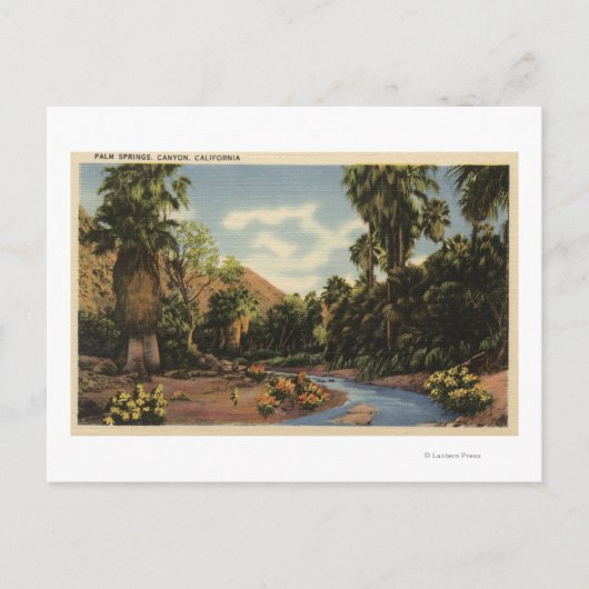 Uitzicht van Palm Springs Canyon Briefkaart (Voorkant)