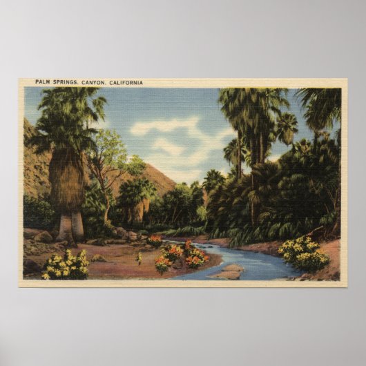 Uitzicht van Palm Springs Canyon Poster (Voorkant)