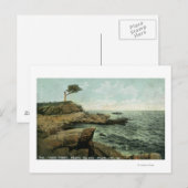 Uitzicht van Peaks en de Paar Tree Briefkaart (Voorkant / Achterkant)