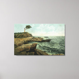 Uitzicht van Peaks en de Paar Tree Canvas Afdruk