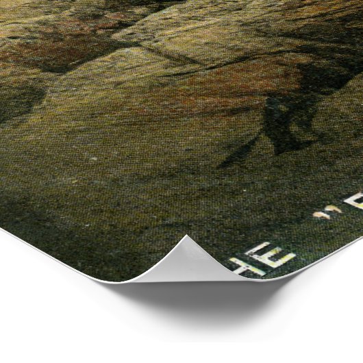 Uitzicht van Peaks en de Paar Tree Poster (Hoek)