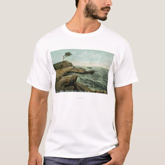 Uitzicht van Peaks en de Paar Tree T-shirt (Voorkant)