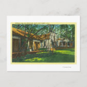 Uitzicht van Pioneer Town in Big Trees Park Briefkaart (Voorkant)