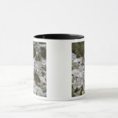 Uitzicht van Port-au-Prince, Haïti Mok (Midden)