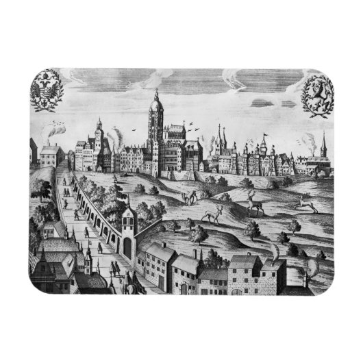 Uitzicht van Praag met het Imperial Palace en het Magneet (Horizontaal)