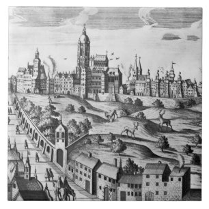 Uitzicht van Praag met het Imperial Palace en het Tegeltje