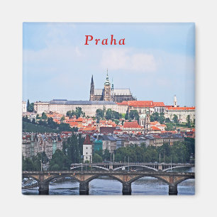 Uitzicht van Praag van de Vyšehrad Fortress. Magneet