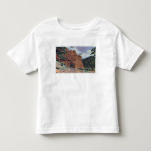 Uitzicht van Red Canyon, bij Park Entrance Kinder Shirts