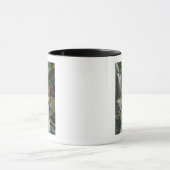 Uitzicht van regenboogHerfsten en brug Mok (Midden)