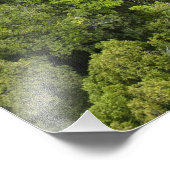 Uitzicht van regenwoud vanuit de lucht. Iwokrama R Foto Afdruk (Hoek)