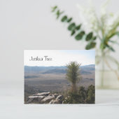 Uitzicht van Ryan Mountain - Joshua Tree Briefkaart (Staand voorkant)