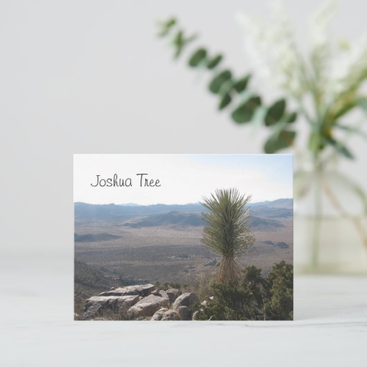 Uitzicht van Ryan Mountain - Joshua Tree Briefkaart (Staand voorkant)