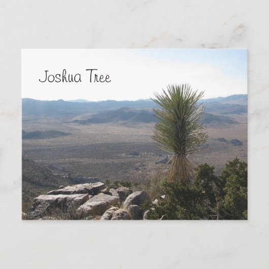 Uitzicht van Ryan Mountain - Joshua Tree Briefkaart (Voorkant)