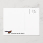 Uitzicht van Santa Cruz op de Kanaaleilanden Briefkaart (Achterkant)