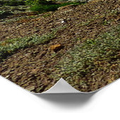 Uitzicht van Santa Cruz op de Kanaaleilanden Poster (Hoek)