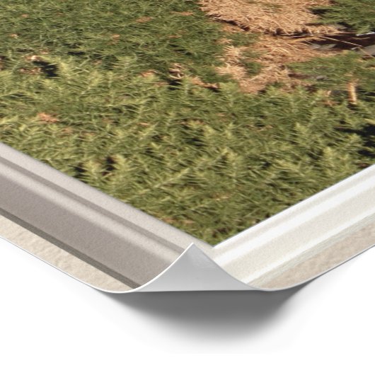 Uitzicht van Scottish Island van Window Poster (Hoek)