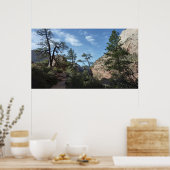 Uitzicht van Scout Lookout in Zion National Park Poster (Keuken)