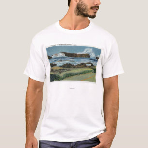 Uitzicht van Seal Rock tussen Waldport en T-shirt