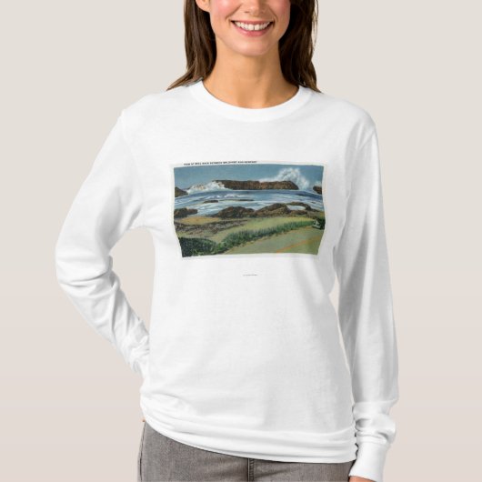 Uitzicht van Seal Rock tussen Waldport en T-shirt (Voorkant)