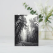 Uitzicht van Sequoia-bomen in de bosbouw Briefkaart (Staand voorkant)