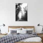 Uitzicht van Sequoia-bomen in de bosbouw Canvas Afdruk (Insitu (Slaapkamer))