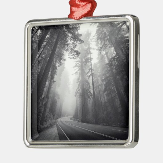 Uitzicht van Sequoia-bomen in de bosbouw Metalen Ornament (Links)