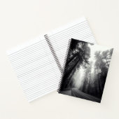 Uitzicht van Sequoia-bomen in de bosbouw Notitieboek (Binnen)