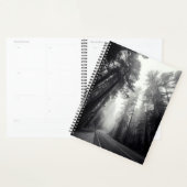 Uitzicht van Sequoia-bomen in de bosbouw Planner (Display)