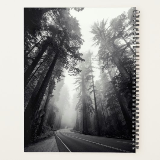 Uitzicht van Sequoia-bomen in de bosbouw Planner (Achterkant)