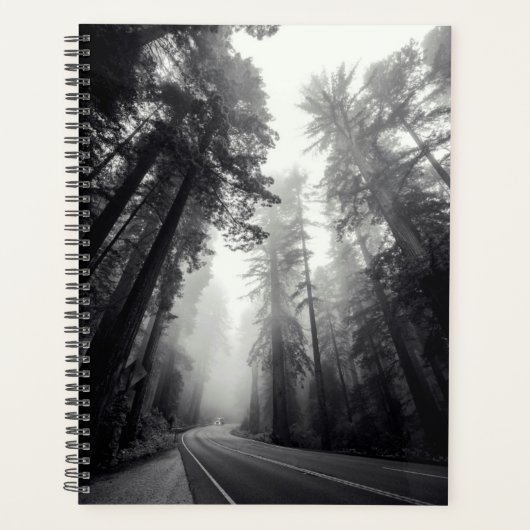 Uitzicht van Sequoia-bomen in de bosbouw Planner (Voorkant)