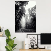 Uitzicht van Sequoia-bomen in de bosbouw Poster (Thuiskantoor)