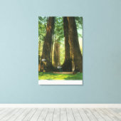 Uitzicht van sequoiwten bij Big Tree Grove Canvas Afdruk (Insitu (Houten vloer))